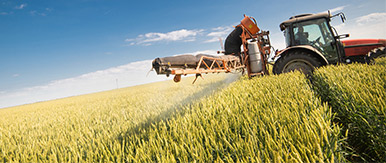 Rural Land & Business